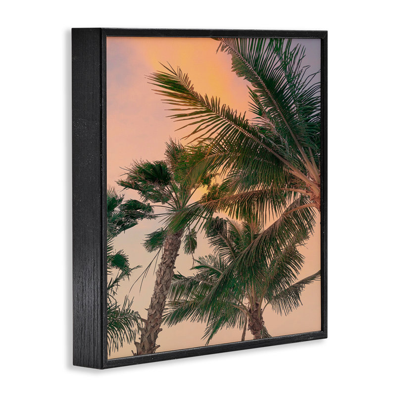 Gathering Palms at Sunset, estampe numérique, design par Susan Jill, H 12 po x l 12 po, Giclée encadrée noir minuit