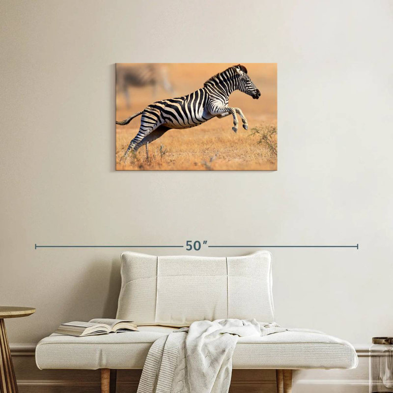 Brampt Jumping Zebra