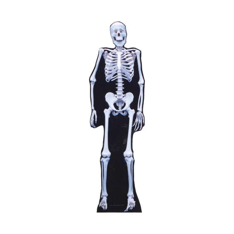 Halloween 69'' Cardboard Standup
