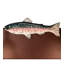 Rainbow Trout 4 - Light Vanity Light
