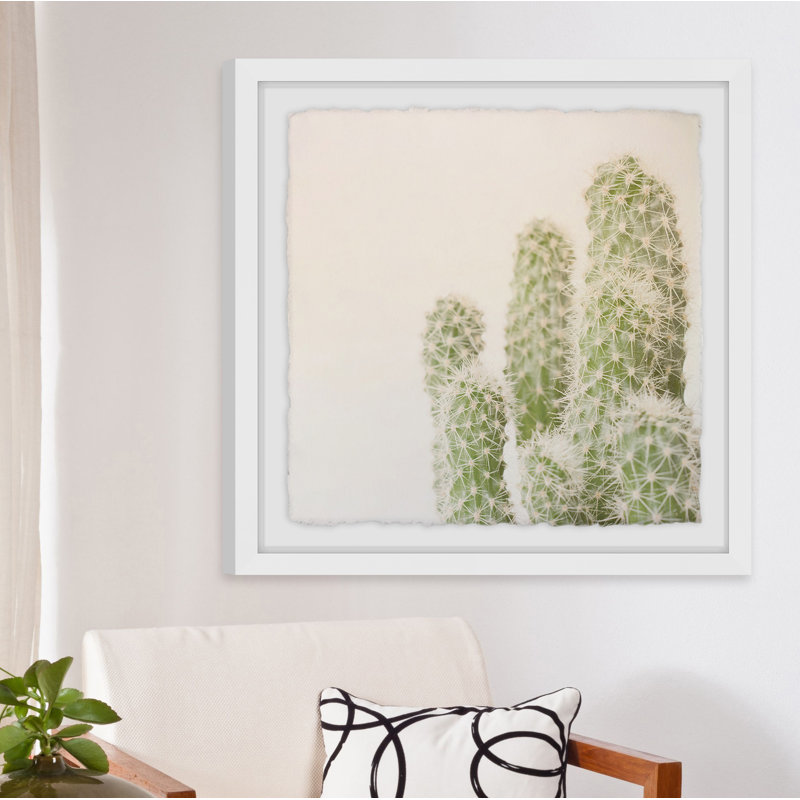 Cadre photo « fuzzy cactus », impression sur papier, H 12 po x l 12 po x P 1,5 po, Cadre blanc