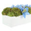 Orchid and Sedum Arranged in Fiberstone Planter-1907066693-1907066694