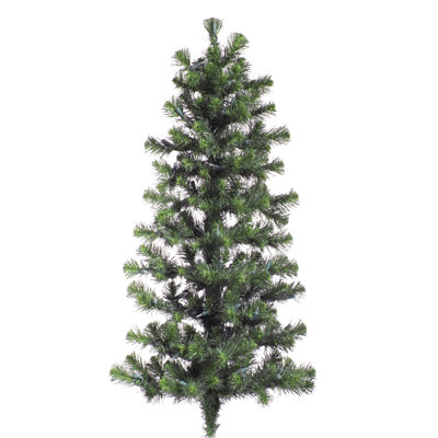 Douglas Fir Wall Tree