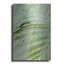 Art mural en métal «Sage Palm» par Incado-793539867