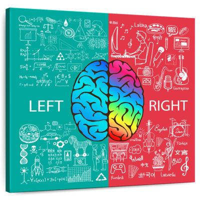 Keiri Right And Left Brain