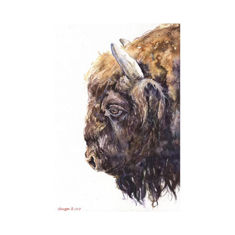 Buffalo by George Dyachenko - Wrapped Canvas Print, 101.6 cm H x 66.04 cm W x 3.175 cm D