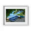 Gone Fishing Print by Joseph Regan-66911147-66911150