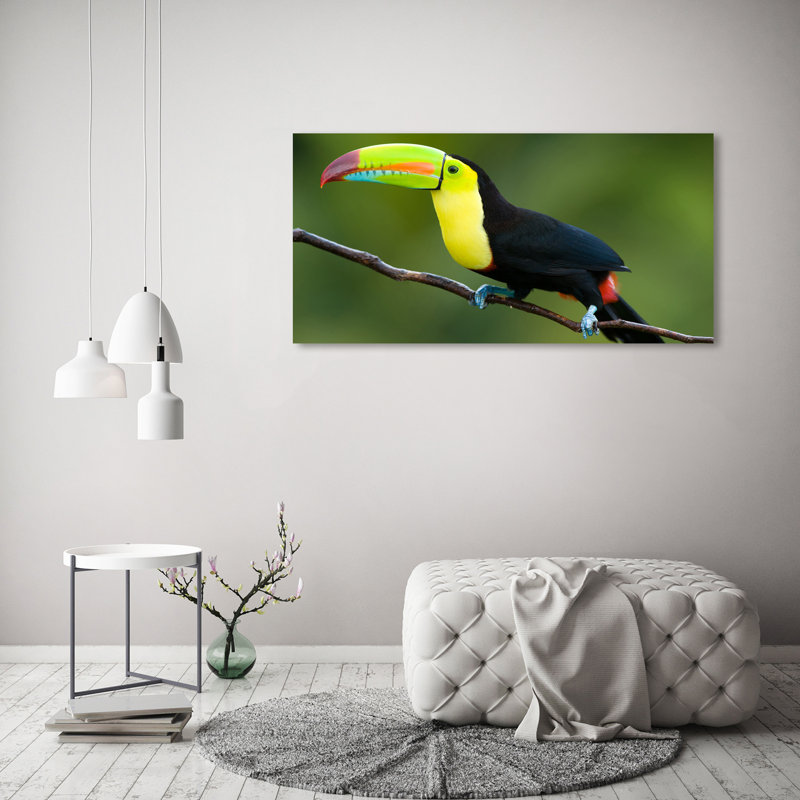 Toucan - Wrapped Canvas Print