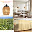 Ensemble de deux appliques murales Boho
