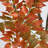 7Ft. Autumn Sumac Artificial Fall Tree