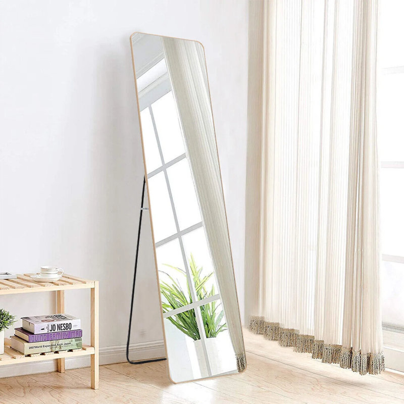 Nasiem Metal Elongated Floor Mirror