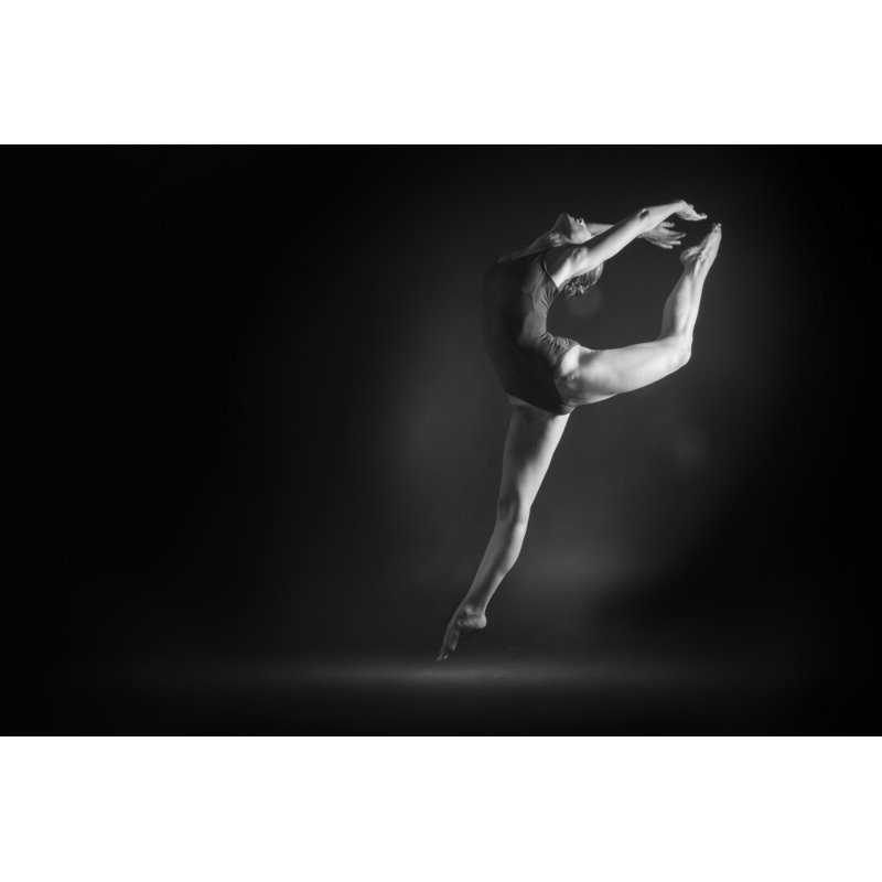 Wrapped Canvas Print, 50.8 cm H x 76.2 cm W