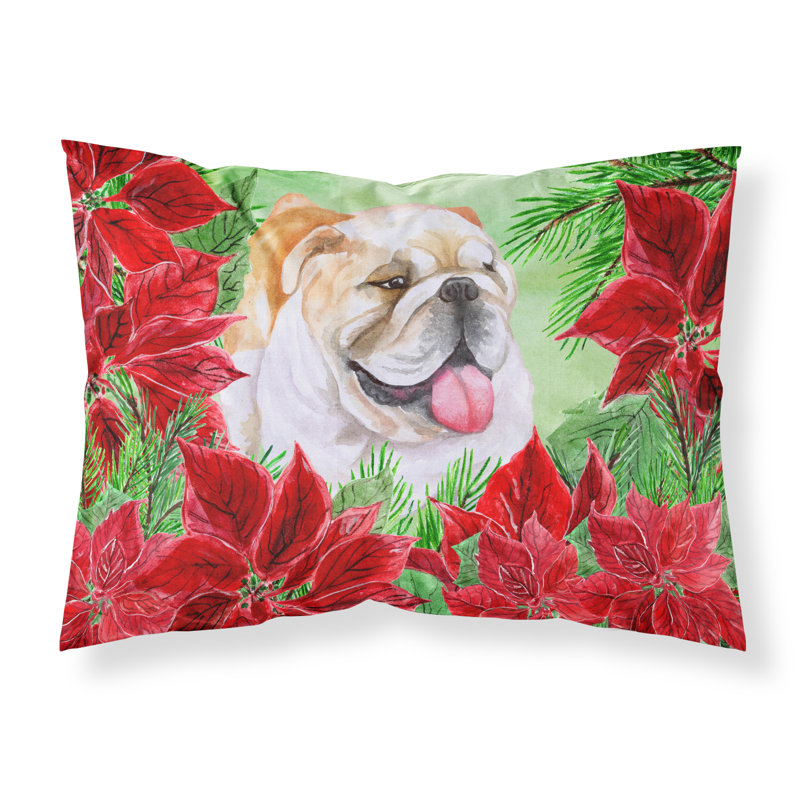 Microfiber, English Bulldog