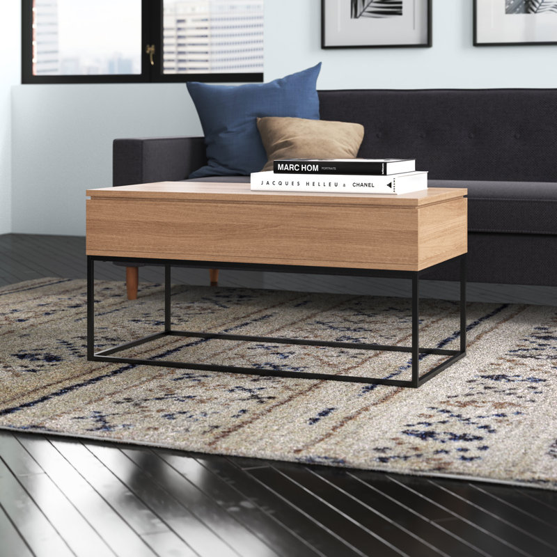 Stoltz 40" Lift Top Coffee Table with Storage, Smoked Oak