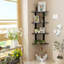 Corner Shelf