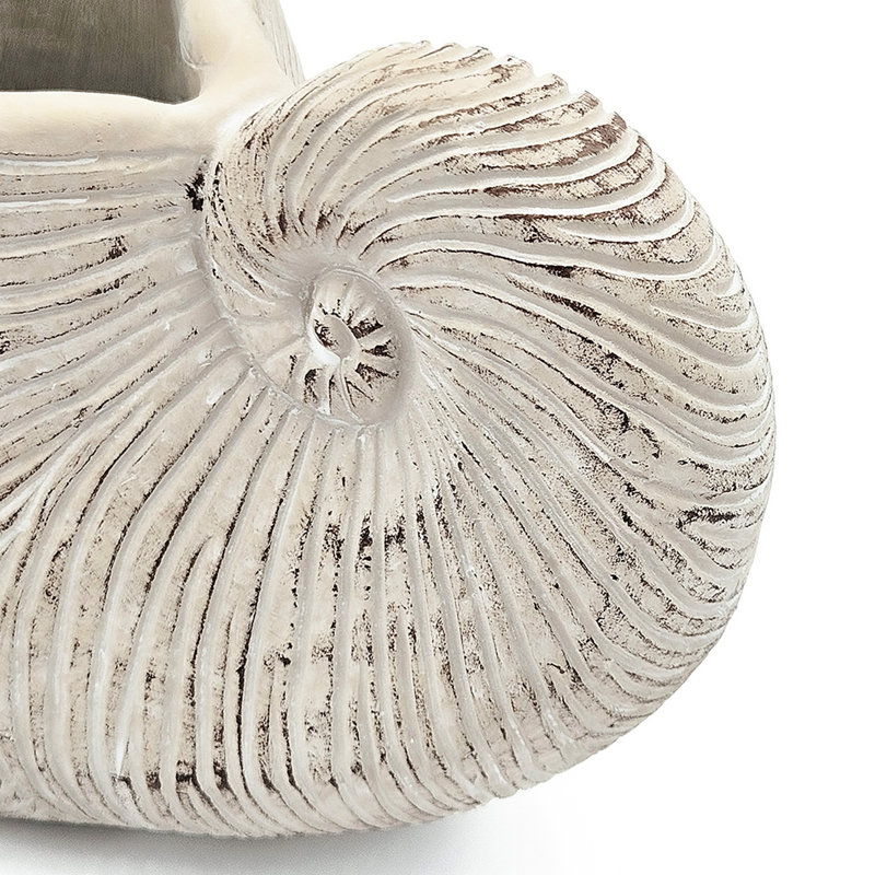 Textured Beige Finish Sand And Cement Shell Planter For Herbs Adding A Relaxed Feeling To Your Bedroom 11.5X6.7X7.7 Inches In Form With Neutral Colorway Trailing Plant Arrangements