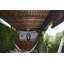 Eliza Outdoor Downrod Ceiling Fan-210241918-209975081