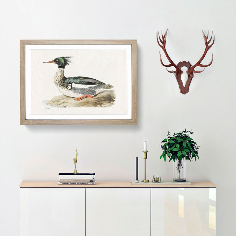 Merganser Diving Duck by Von Wright - Picture Frame Painting Print, 48cm H x 65cm W x 2cm D, Oak Framed