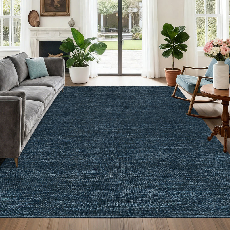 Machine Washable Area Rug for Living Room Modern Solid Color Throw Carpet for Bedroom Dining Room, Rectangle 5' x 7', Blue