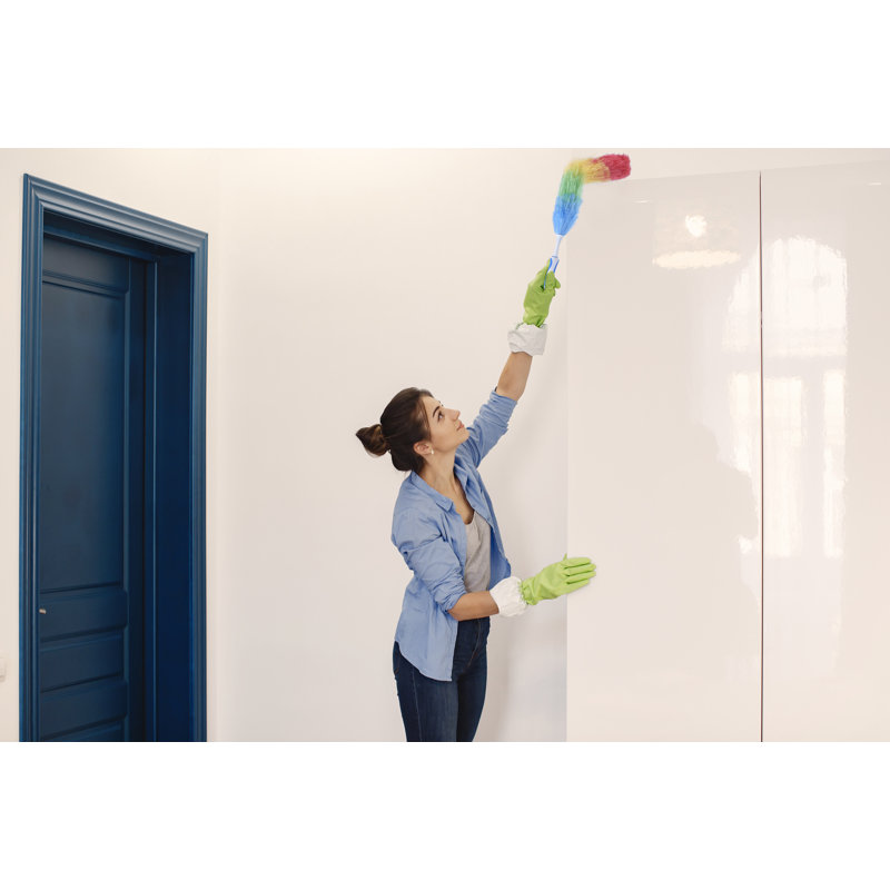 Dust Remover