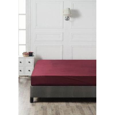 Drap-housse Ranforce