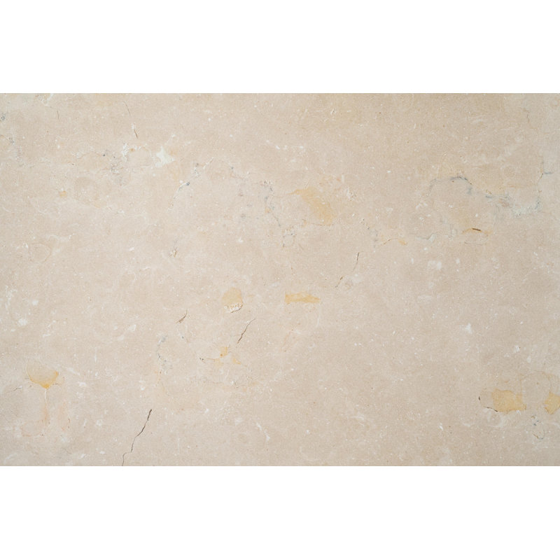 24" x 24" Marble Wall & Floor Tile, Vanilla Crema