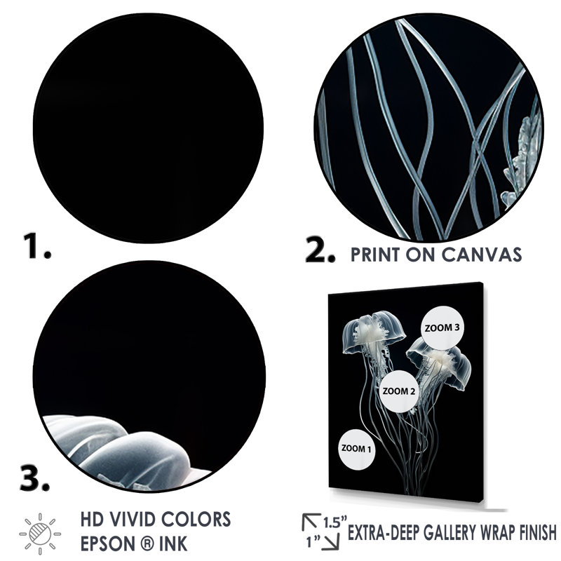 Impression sur toile «Black and White Jellyfish Luminous Drifters I» - Plage et océan, H 40 po x l 30 po x P 1,5 po