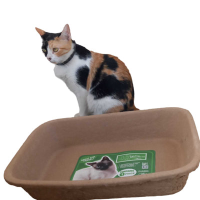 Tucker Murphy Pet™ Cardboard Cat Litter Box - Disposable Cat Litter Solution,modern Cat Litter Box