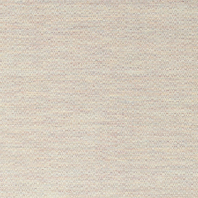 Indoor Rug