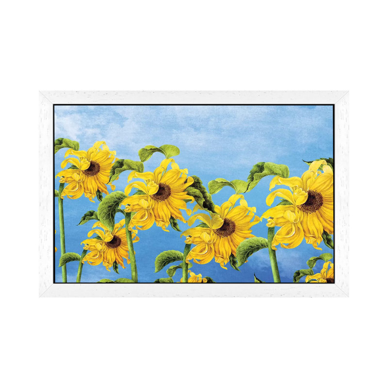 Where The Sunflowers Grow by Diogo Verissimo - Floater Frame Print on Canvas, White Framed, 66.04 cm H x 45.72 cm W