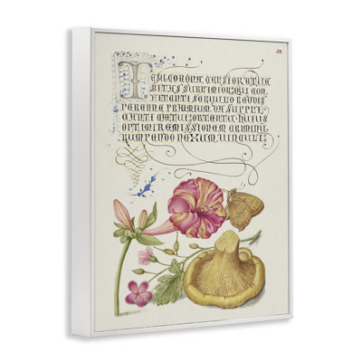 Art de la giclée de Woodland Wildlife Study par Grace Popp