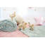 Housse et insert de coussin décoratif étoiles-66903190