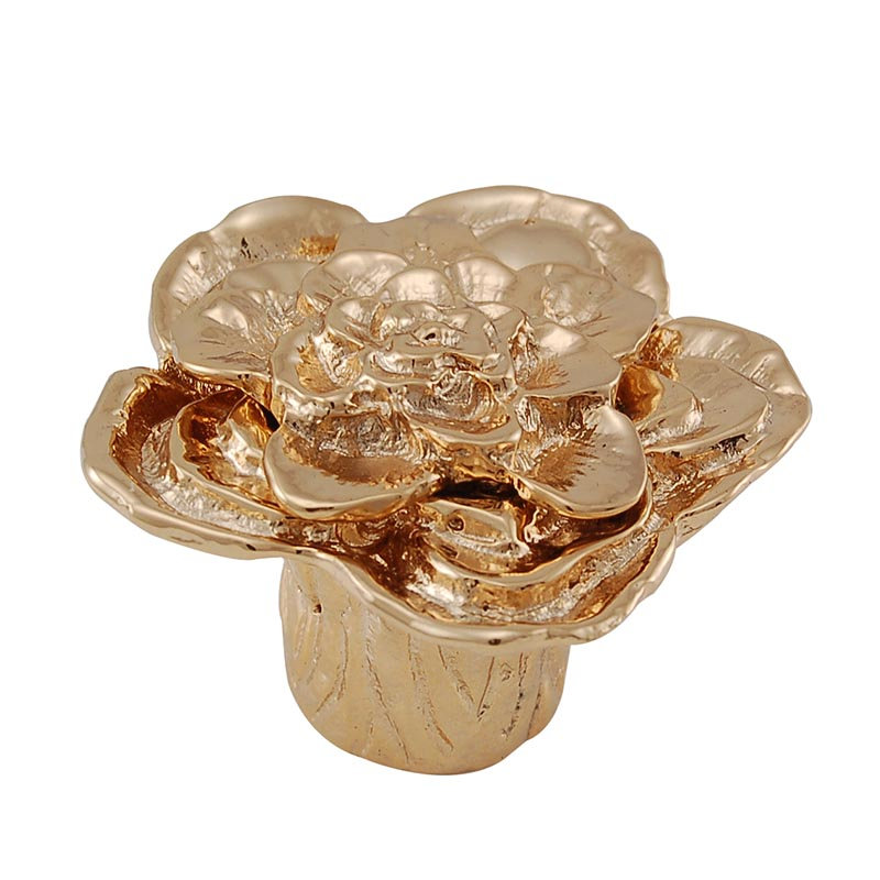 Carlotta Novelty Knob, Polished Gold