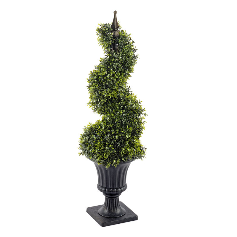 90cm Boxwood Topiary in Urn