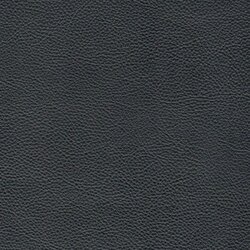 Counterbalance Navy Genuine Leather