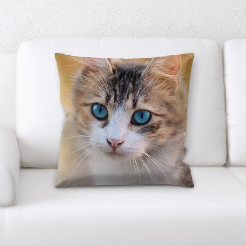 Coussin pour chat