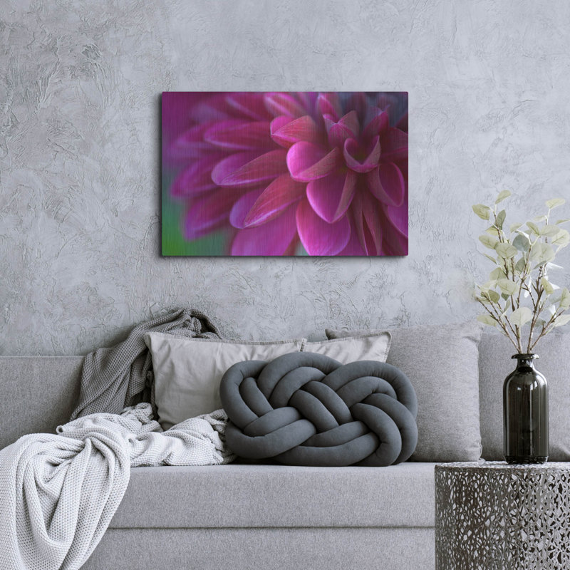 Mercer41 «Pink Chrysanthemum» par Photoinc Studio, art mural en métal, H 24 po x l 36 po