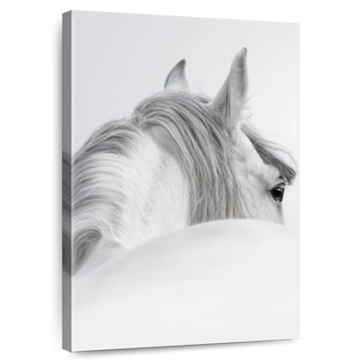Cheval aux cheveux gris Brampt