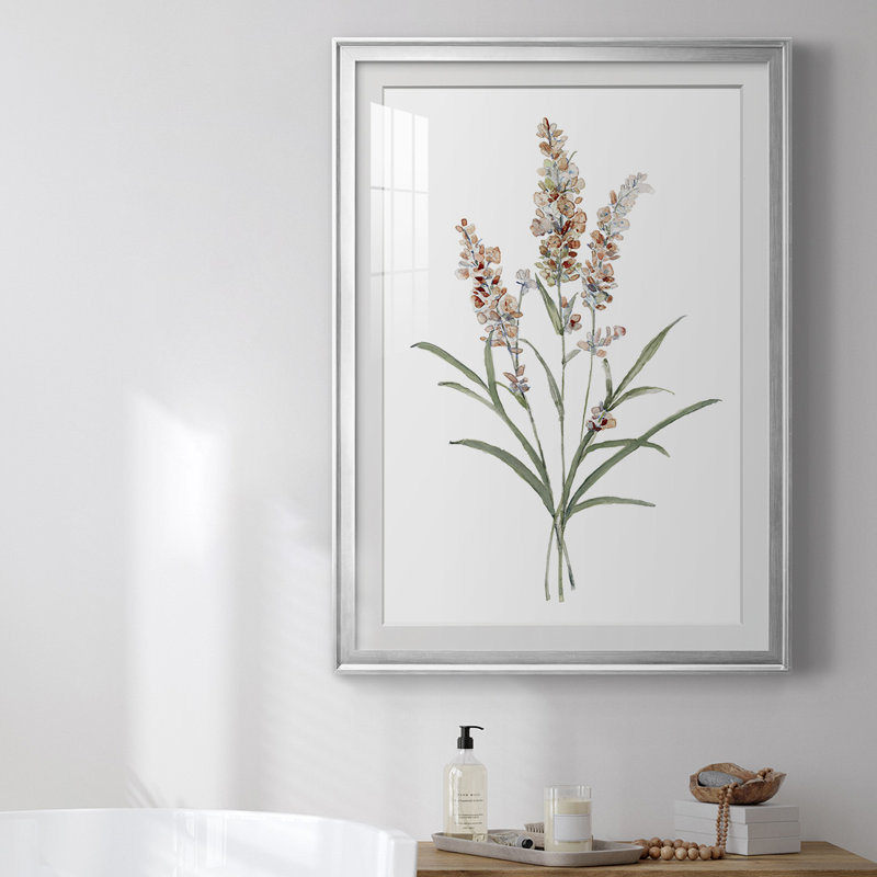 Reproduction encadrée de qualité supérieure Dicat Botanical I - prête à être accrochée, H 24,5 po x l 18,5 po x P 1 po
