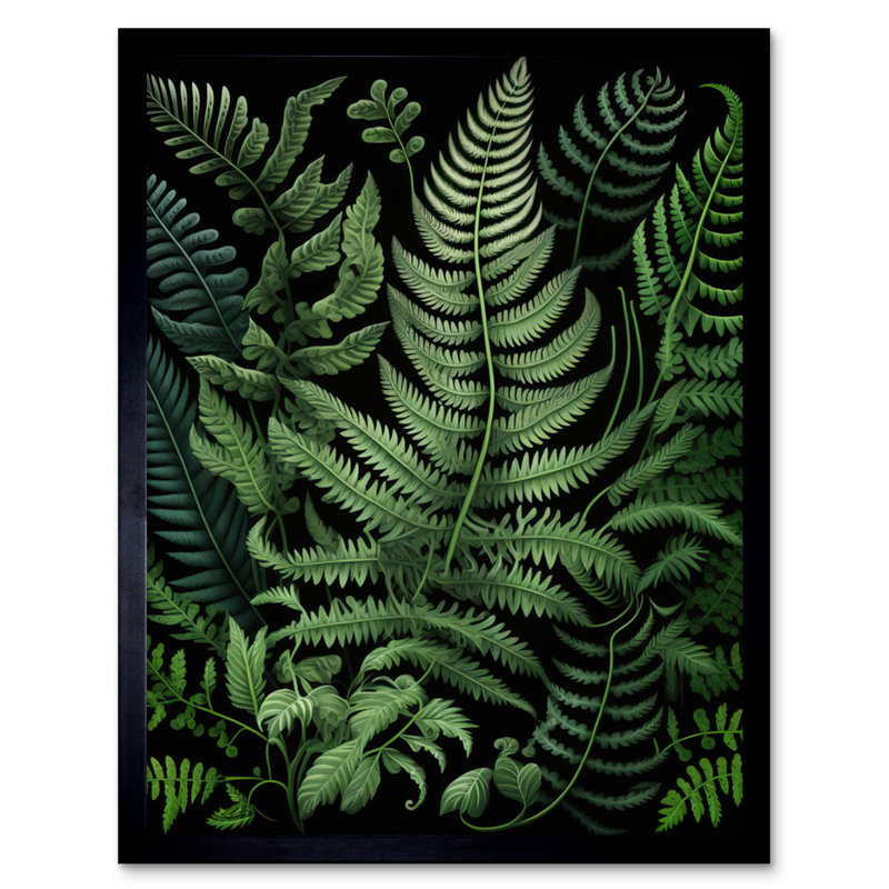 Fern Fronds Ernst Haeckel Style - Picture Frame Rectangle Print