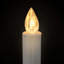 Indoor / Outdoor Light Bulbs-622790858