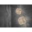 Nevo 1 - Light Flush Mounted Sconce-1224769747-1262647048