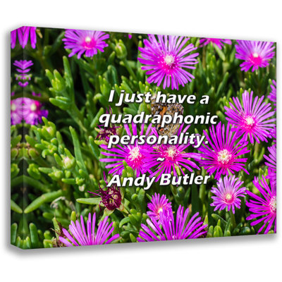 Andy Butler Citation: J'ai juste une personnalité quadraphonique.