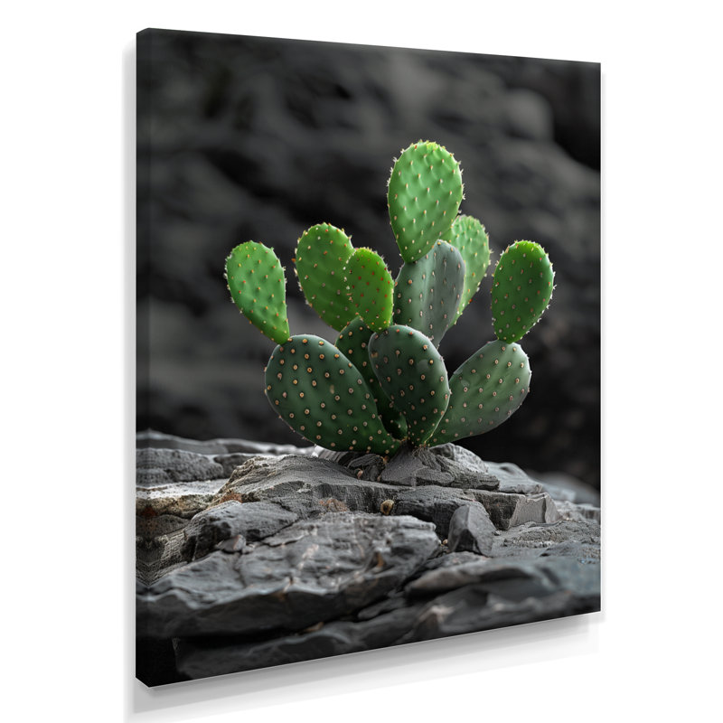 Vert, gris, désert, cactus, falaise rocheuse - cactus floral, salon d'art mural, Toile tendue, H 20 po x l 12 po