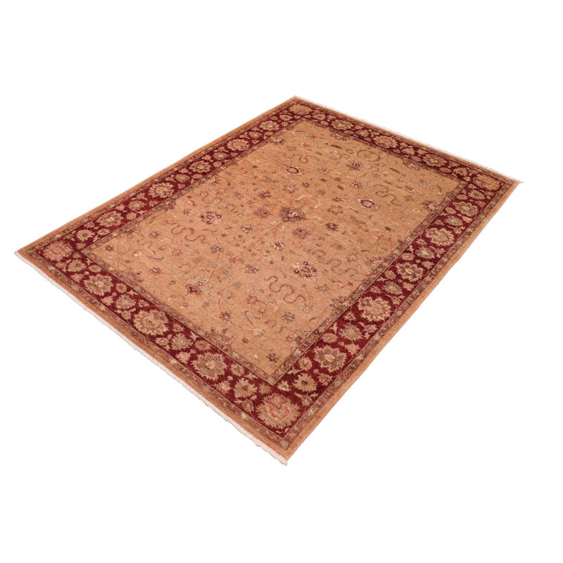Baccio Wool Oriental Indoor Rug