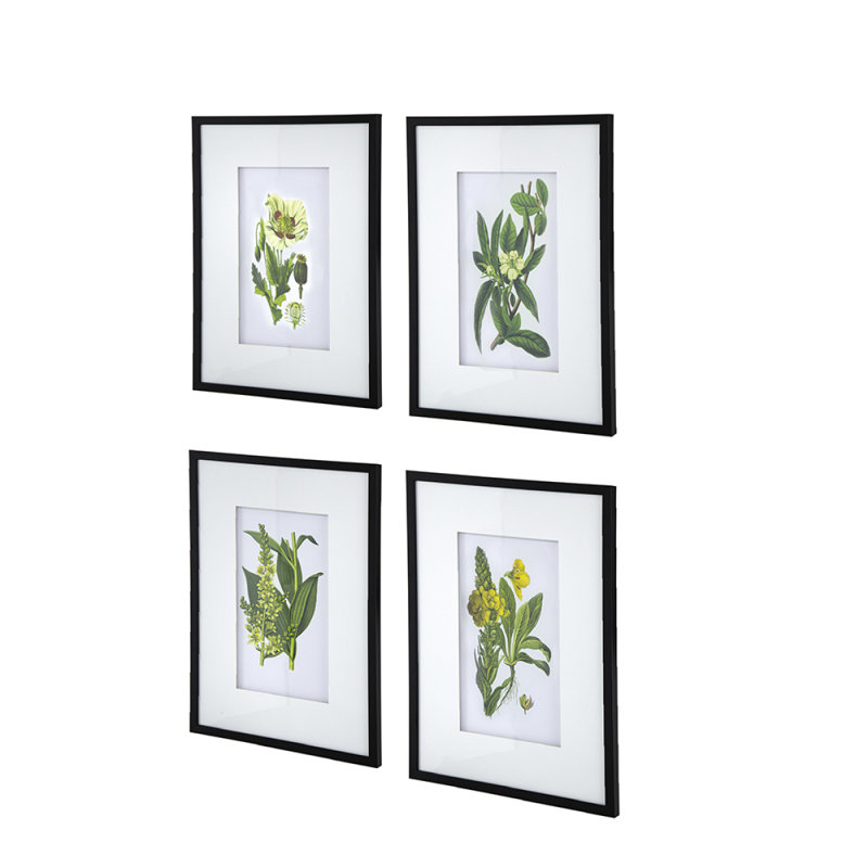 Set Of 4 Botanical Flower Wall Art, Home Decor For Living Room, Dining Room, Bedroom, Hallway, 20" X 28"