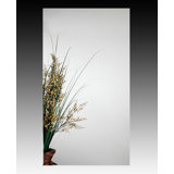 15'' W Mirrored Medicine Cabinet