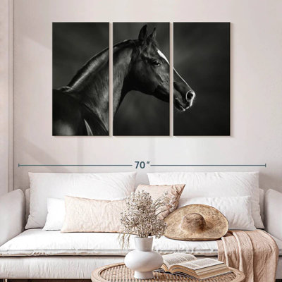 Brampt Black Arabian Horse
