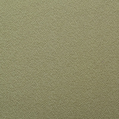 Performance Solids Fabric, Fern