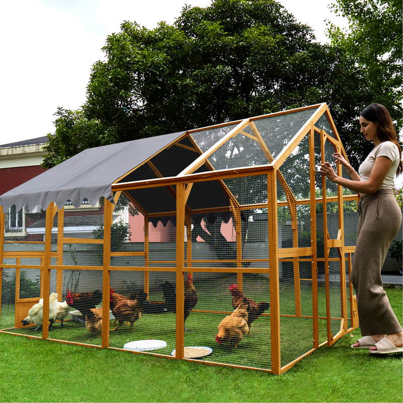 Parc d'extérieur pour chat 110 po, enclos pour poulailler avec grillage, grillage galvanisé, housse imperméable amovible, aire d'activité de 56,54 pi, toit, espace